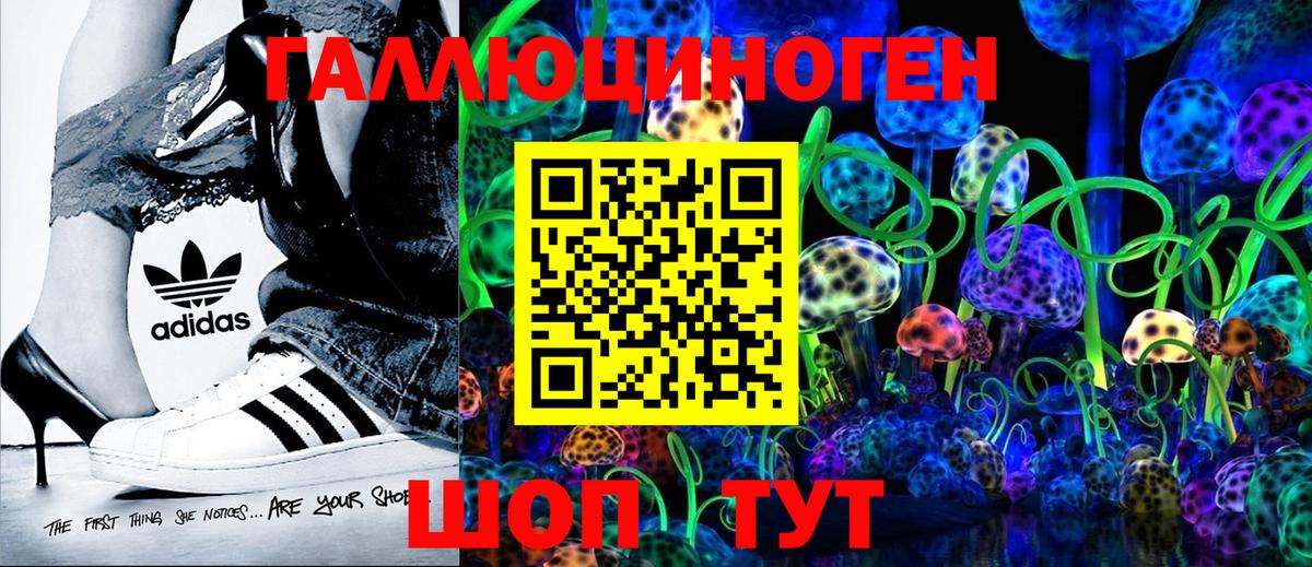Галлюциногенные грибы GOLDEN TEACHER  Вход с VPN  Псилоцибиновые грибы ЛСД  Лесной 