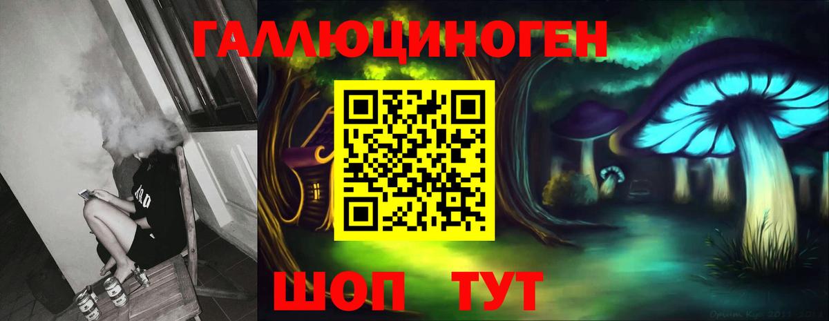 Галлюциногенные грибы мухоморы Лесной